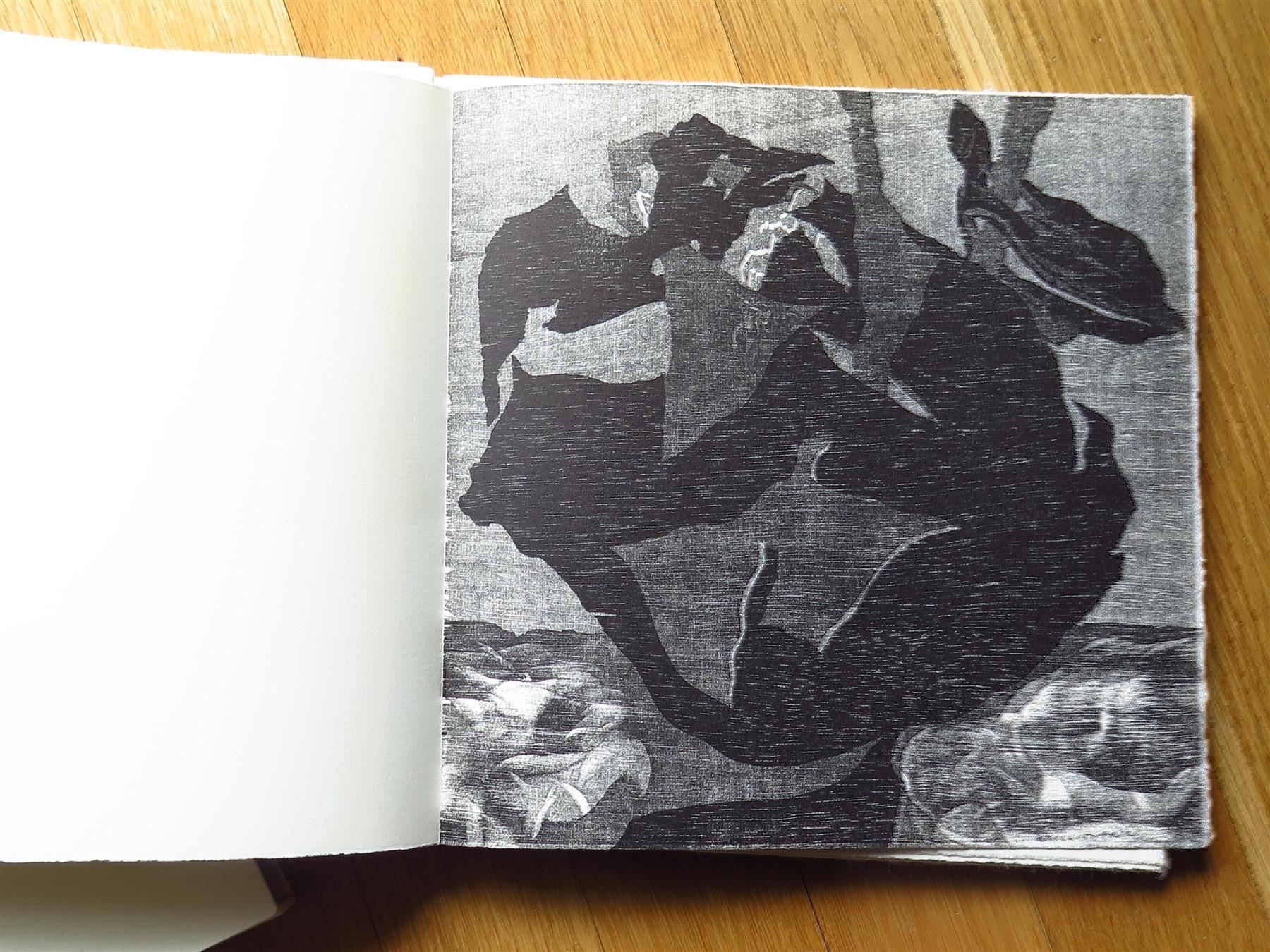 Libri: (A28) XYLON 75, Kunstmappe – Usato da Bern venduto da Jwpm66 5