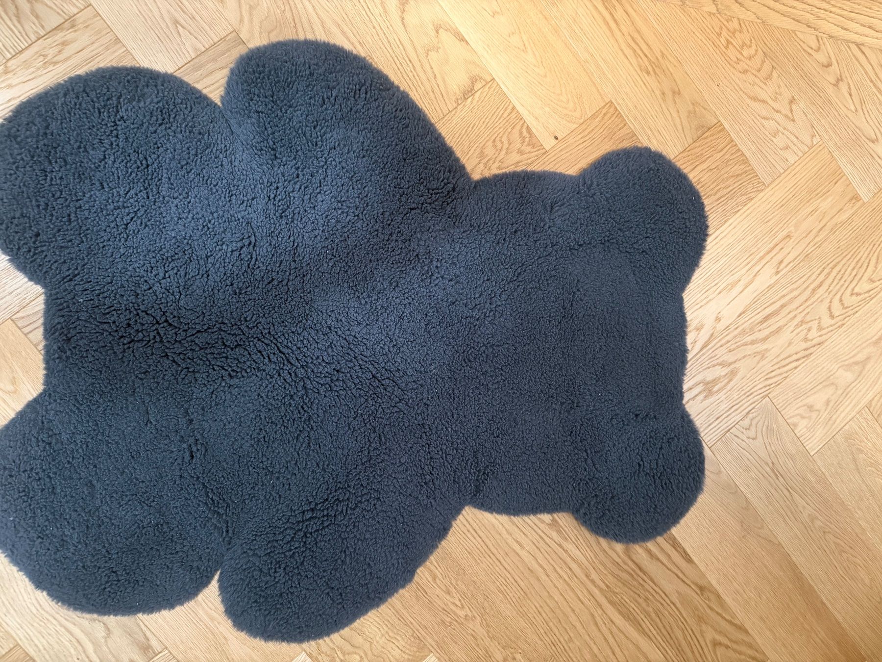Tappeti: Flauschiger Teppich "Teddy" , Anthrazit – Usato da Bern venduto da fab_nkg9