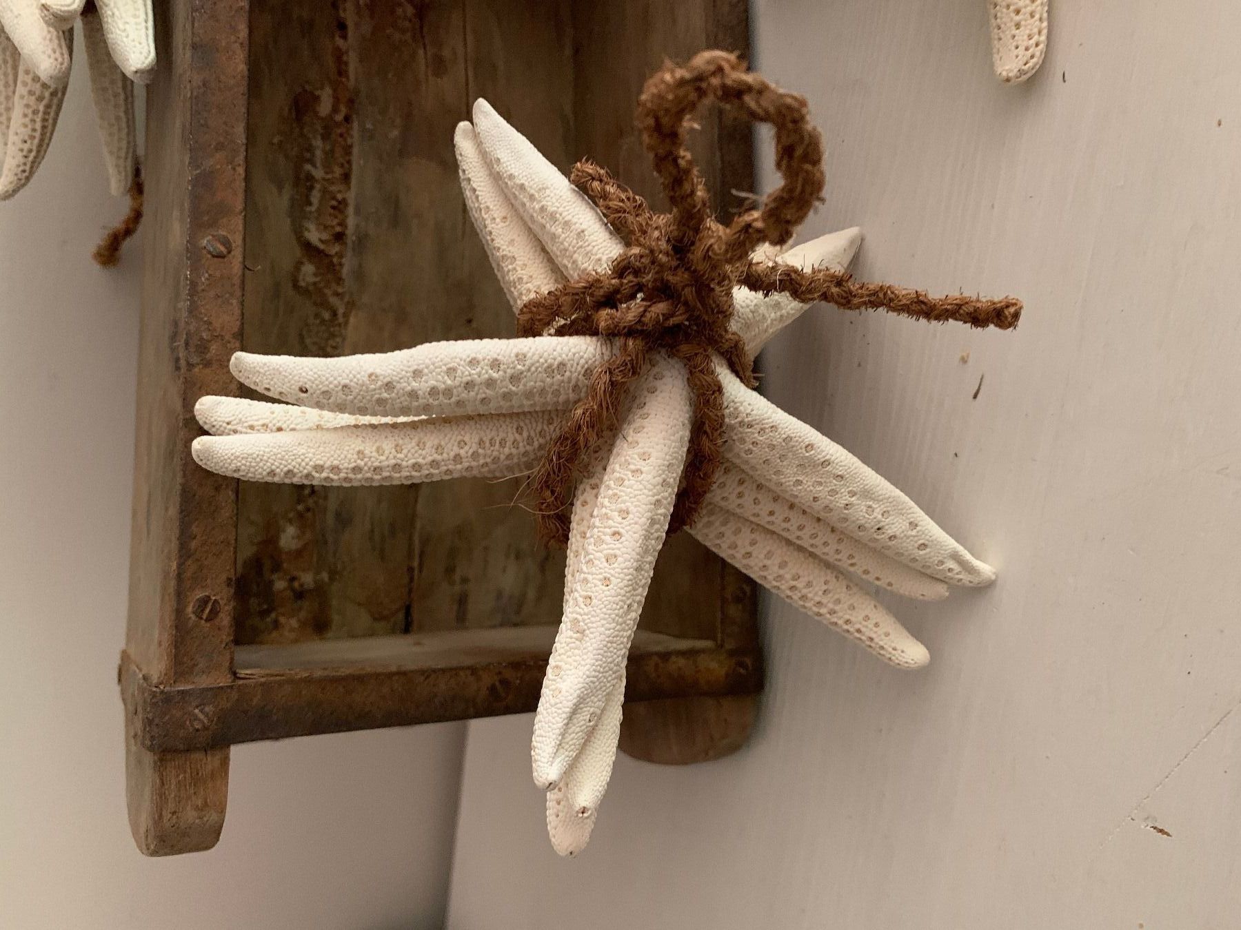 Alle Dekorationen: maritime Deko, Seesternbündel, starfish – Gebraucht aus St. Gallen von Miousch 1