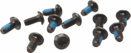 Hayes Torx T-25 Schrauben (12er Pack)
