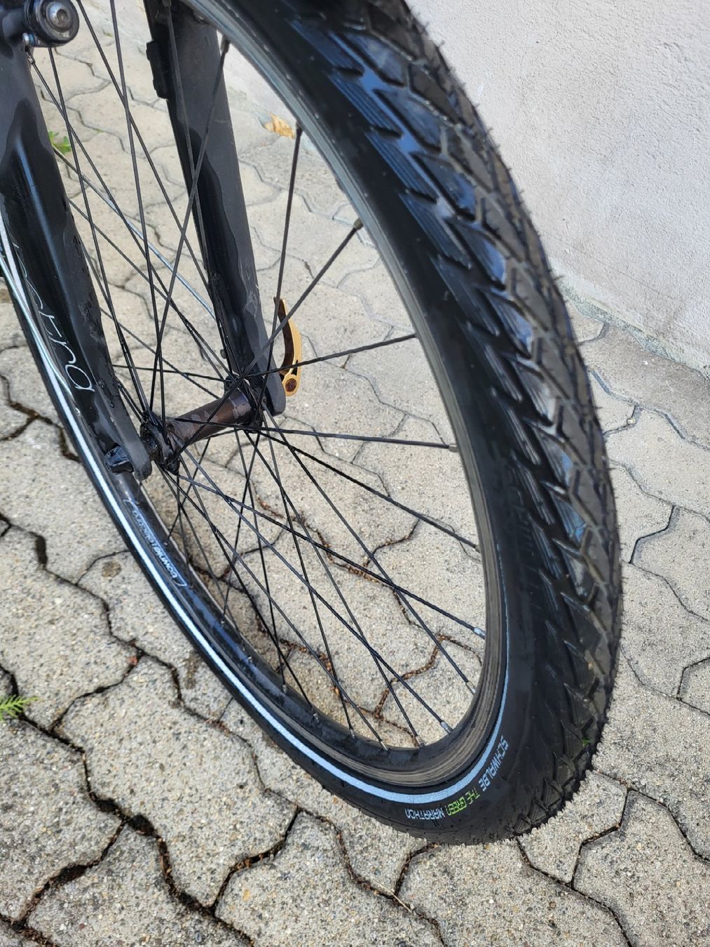 Biciclette: Damen Velo – Usato da Dietikon venduto da AniaSunrise 2