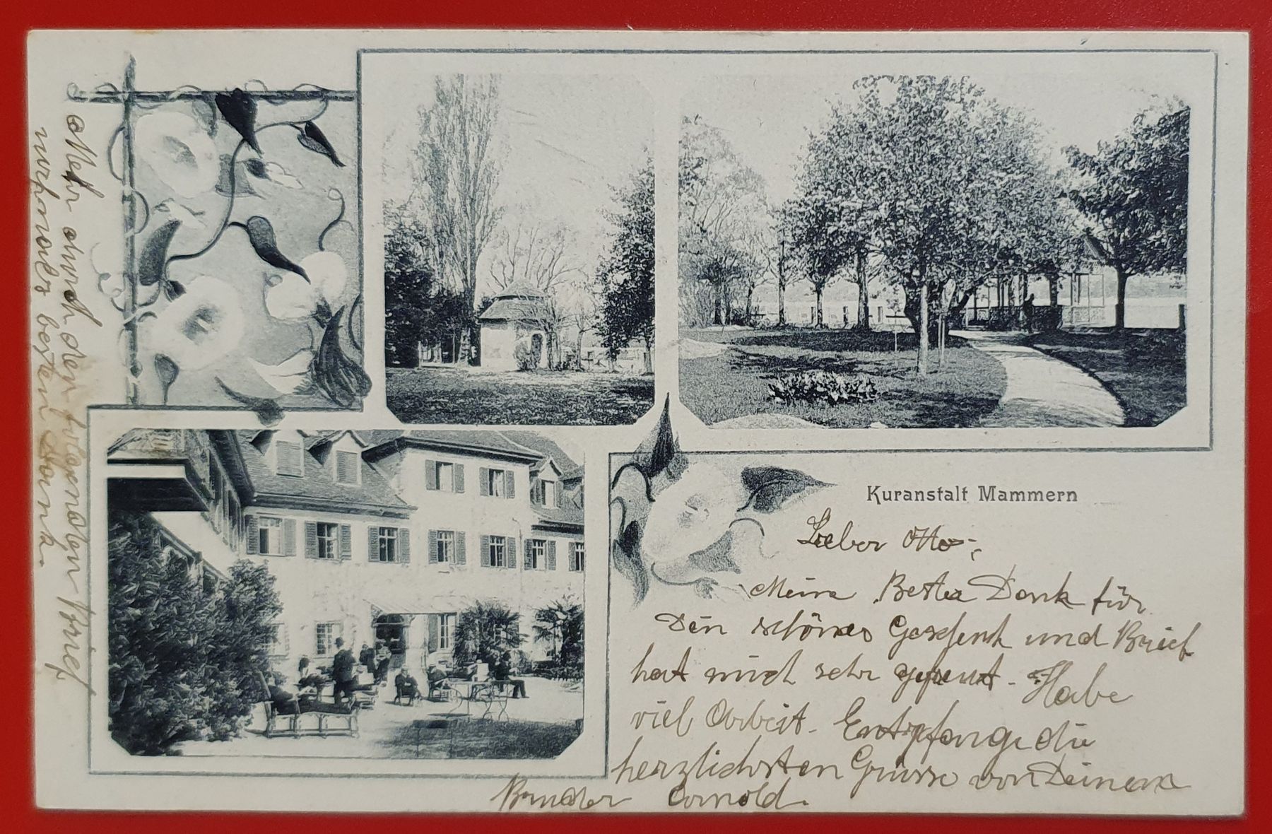 Ansichtskarten: Mammern 1905 - Kuranstalt – Gebraucht aus Kreuzlingen von Rschweiz1