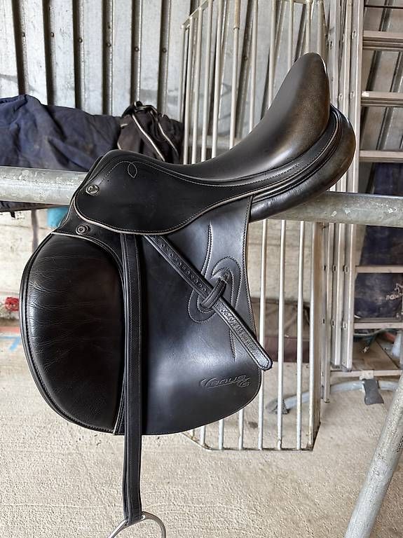 Selle & Accessori: Selle mixte venus Prestige 17" – Usato da St. Ursen venduto da ine_rp62