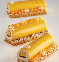 Silikon Backform für Desserts oder Kuchen