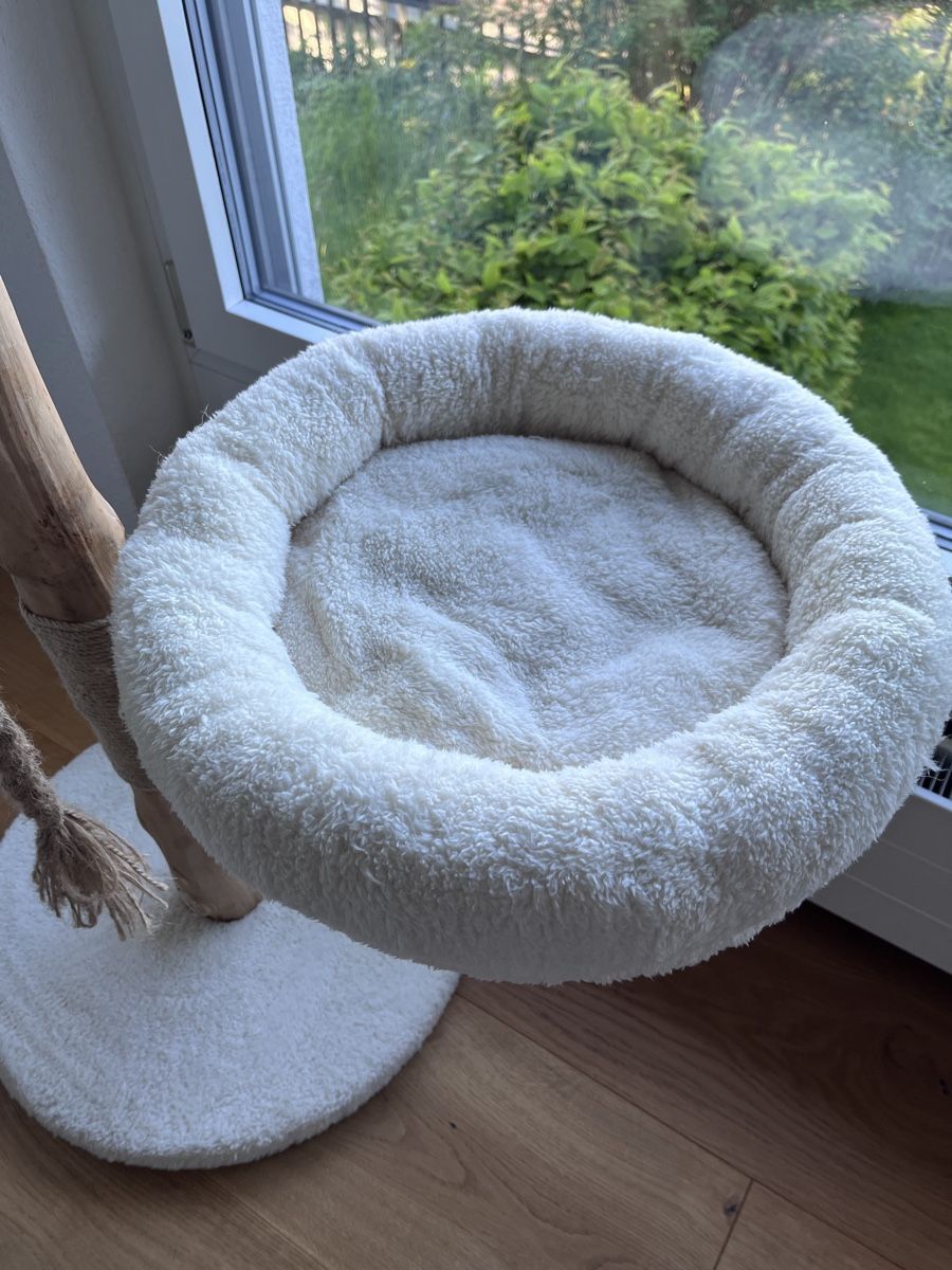 Katzenbaum - Kratzbaum: Katzenbaum – Gebraucht aus Boll von vespa3000 3