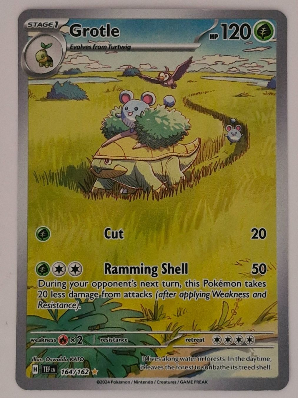Pokémon Carte collezionabili: Grotle / Chelcarain / Temporal Forces / TEF 164 – Nuovo (secondo la descrizione) da Arni AG venduto da PokemonCardsStore
