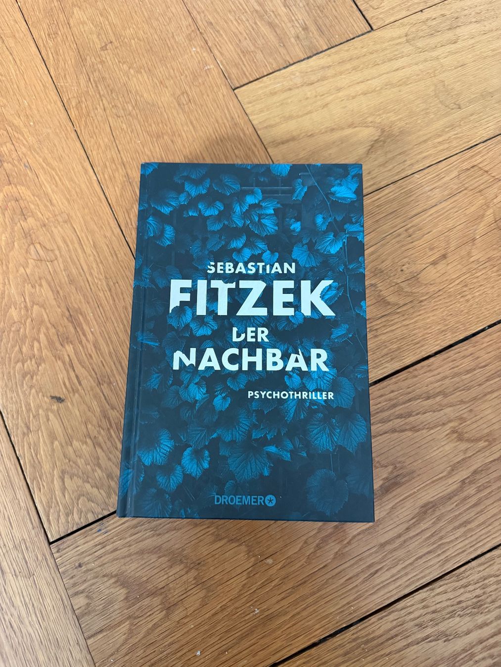 Libri: Sebastian Fitzek - Die Angst – Usato da Zürich venduto da chi_9dfb