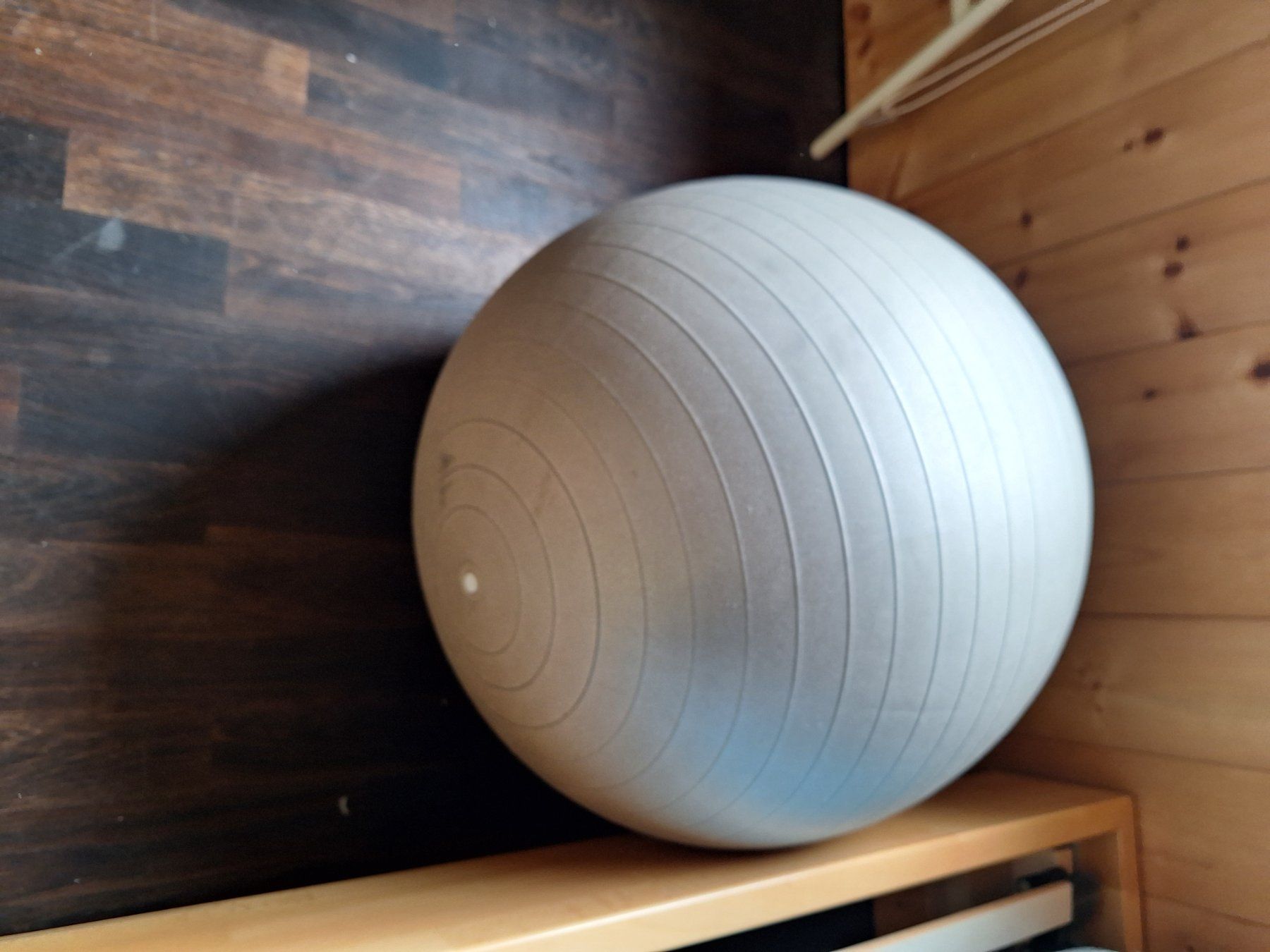 Bälle: Gymnastikball – Gebraucht aus Gipf-Oberfrick von Harfenisa