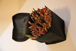 Etui mit vielen Dicki-Farbstiften NEU