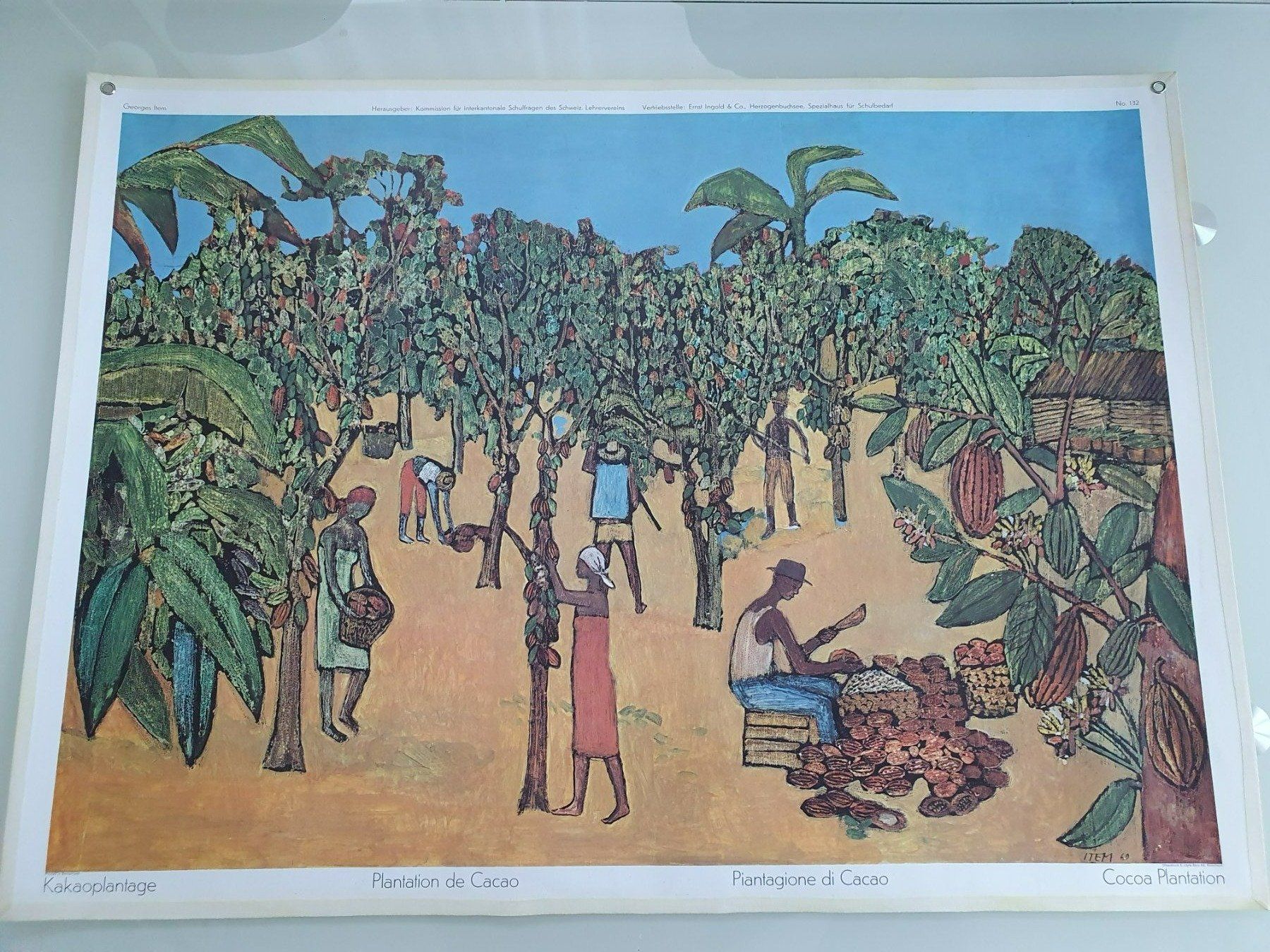 Poster & Bilder: Schulwandbild Nr. 132 Kakaoplantage – Gebraucht aus Fribourg von YannDuc