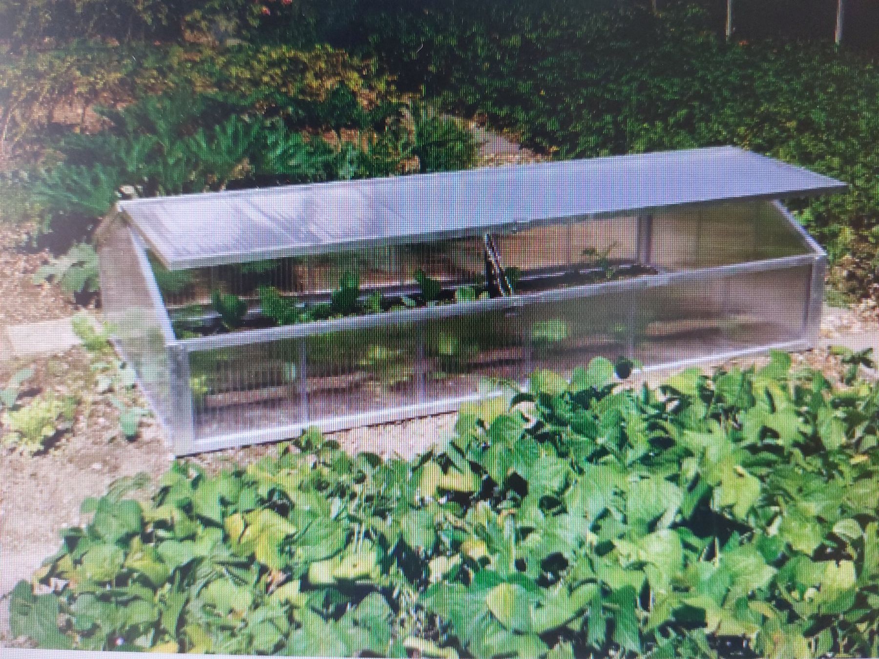 Casette da giardino & serre: Serre pour semis – Usato da Saignelégier venduto da mpm_9wdk