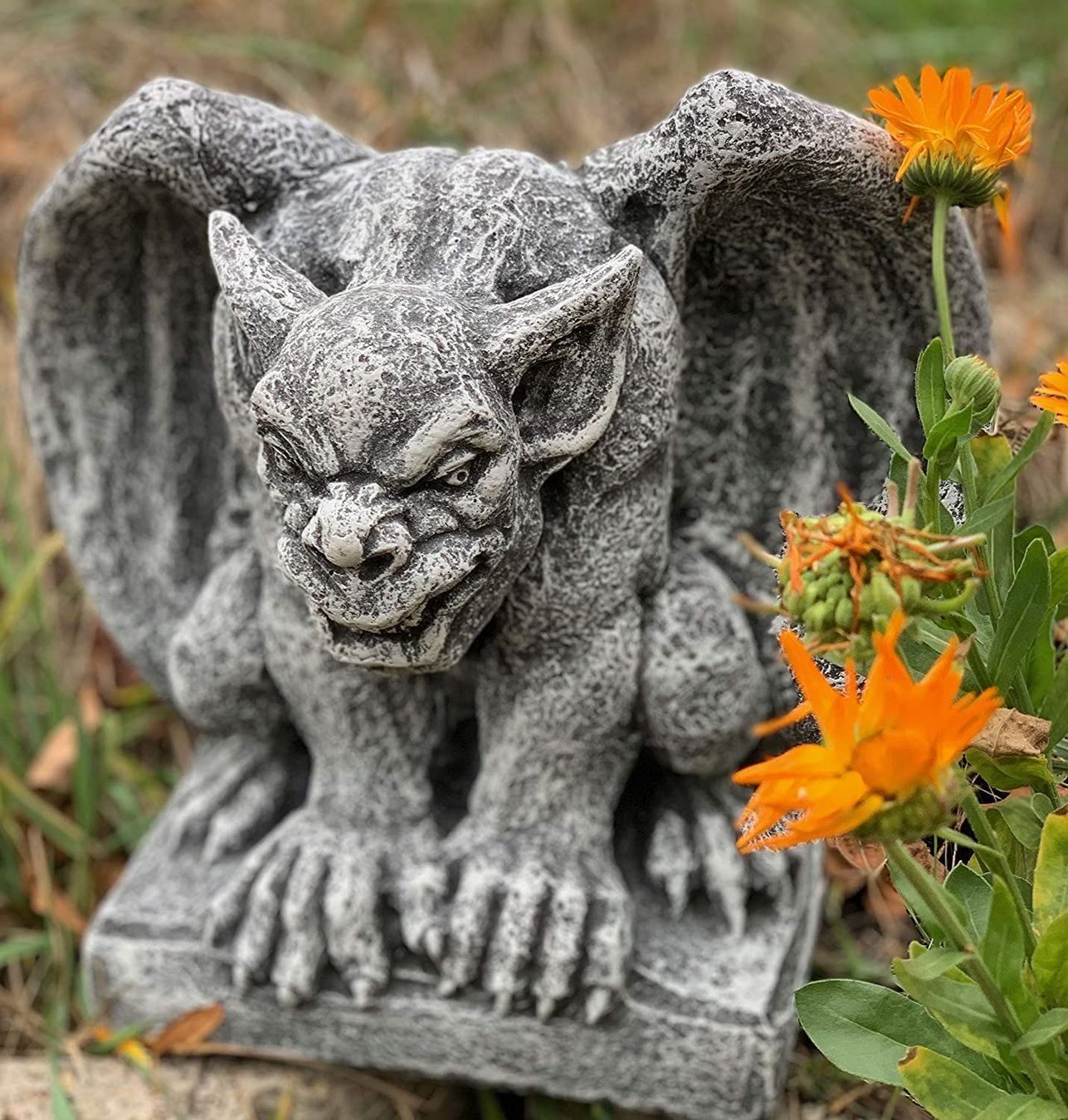 Sculture & Statue: Gargoyle Steinfigur Steinskulptur Gartenfigur – Nuovo e nell'imballaggio originale da Lopagno venduto da CLep 4