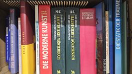 Bücher Konvolut diverse Themen guter Zustand