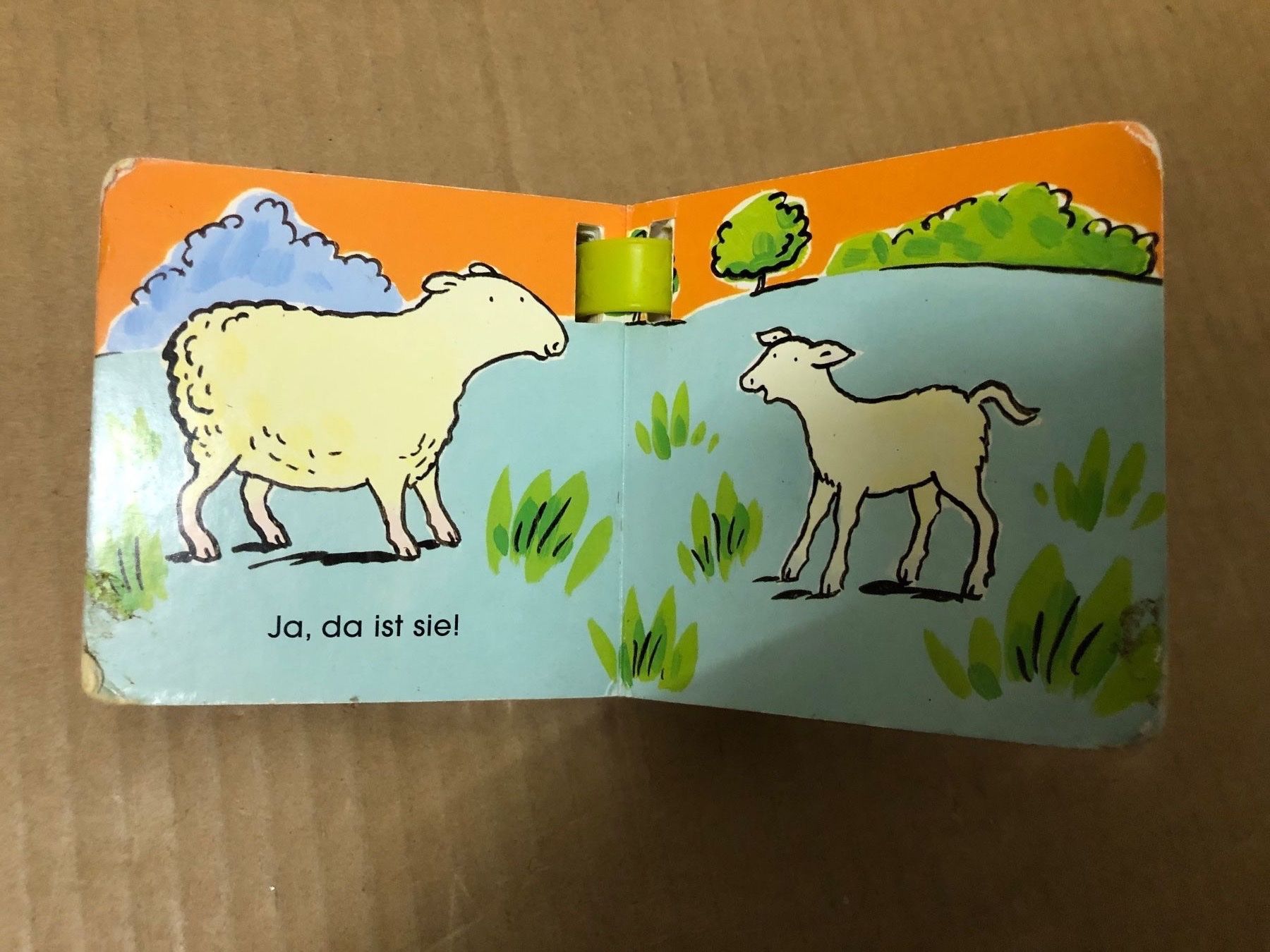 Libri: Mein Buggy Buch (Schäfchen) – Usato da Eschlikon TG venduto da RamonaSt 6