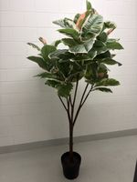 Kunstpflanze von Ikea (Ficus)