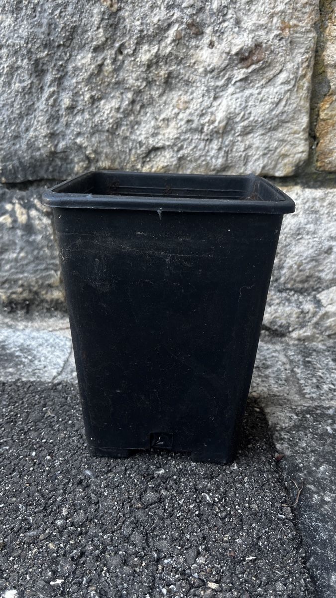 Blumentöpfe: Anzuchttöpfe  – Gebraucht aus Breitenbach von aya_w5x7
