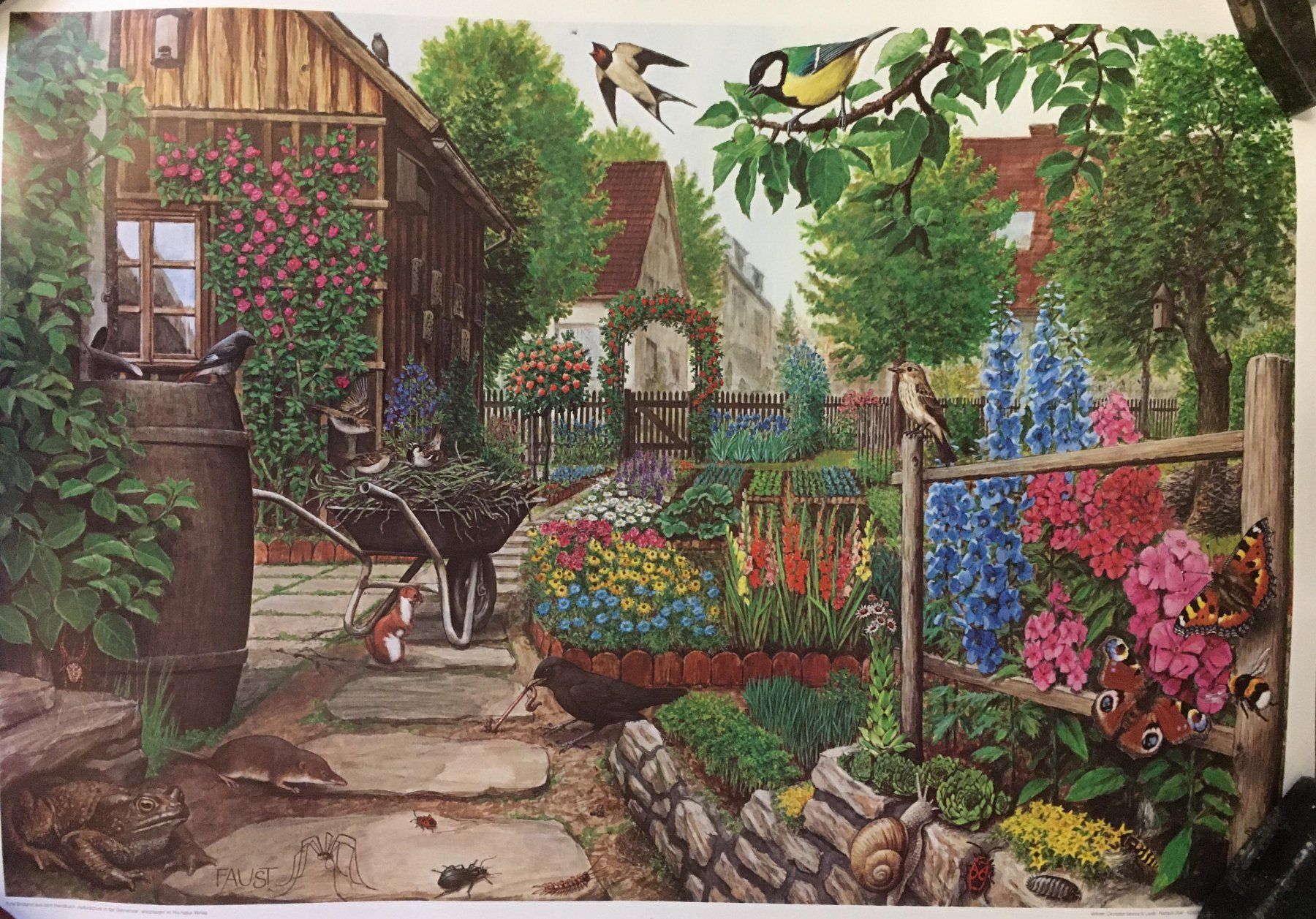 Foto & Immagini: 4 Bilder aus "Naturschutz in der Gemeinde" (1985) – Nuovo (secondo la descrizione) da Zürich venduto da Derrick8