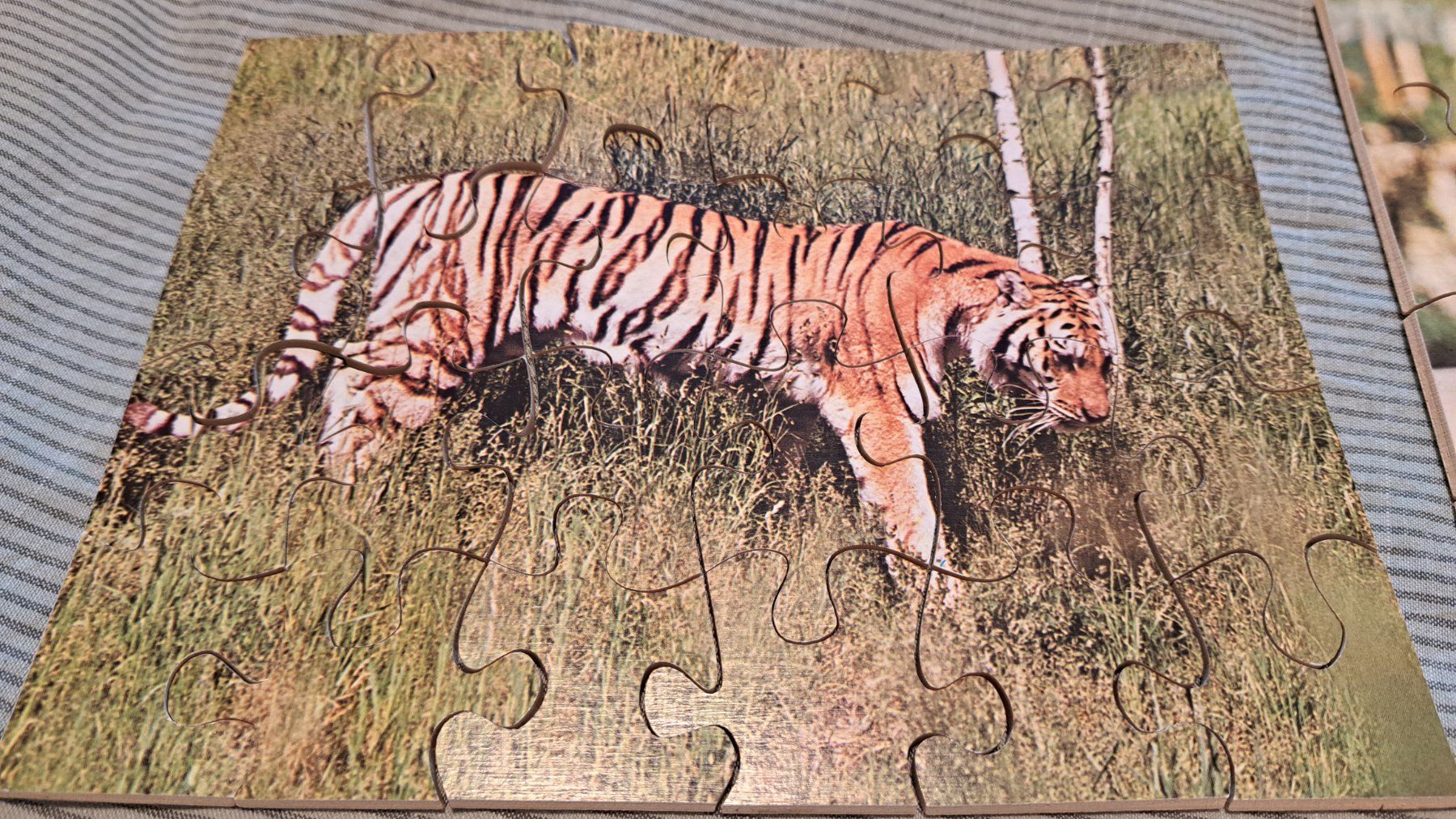 Penelope Puzzle: Penelope Multi Puzzle aus Holz – Usato da Adliswil venduto da edi_5m7l 6