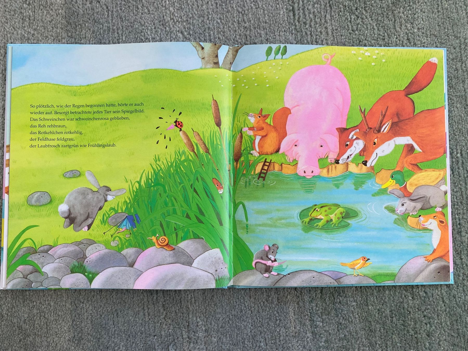 Libri: Kinderbuch "Als die Raben noch bunt waren" – Nuovo (secondo la descrizione) da Russikon venduto da mofu961 2