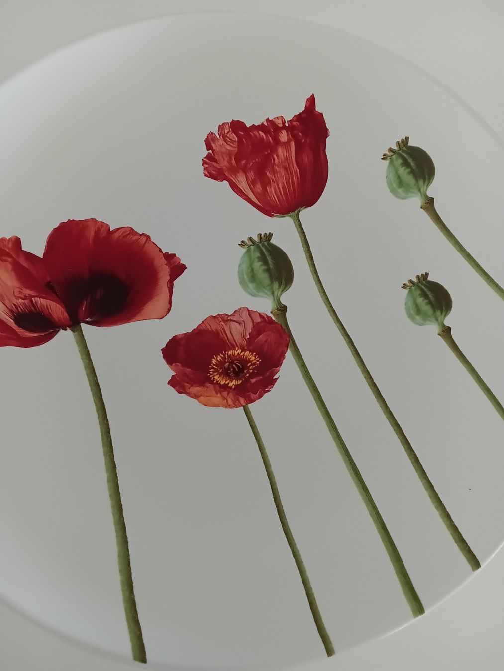 Piatti di portata: Decorative Plate with Poppies, ceramic, Diameter 37cm x 6cm  – Usato da Immensee venduto da vgitter 2