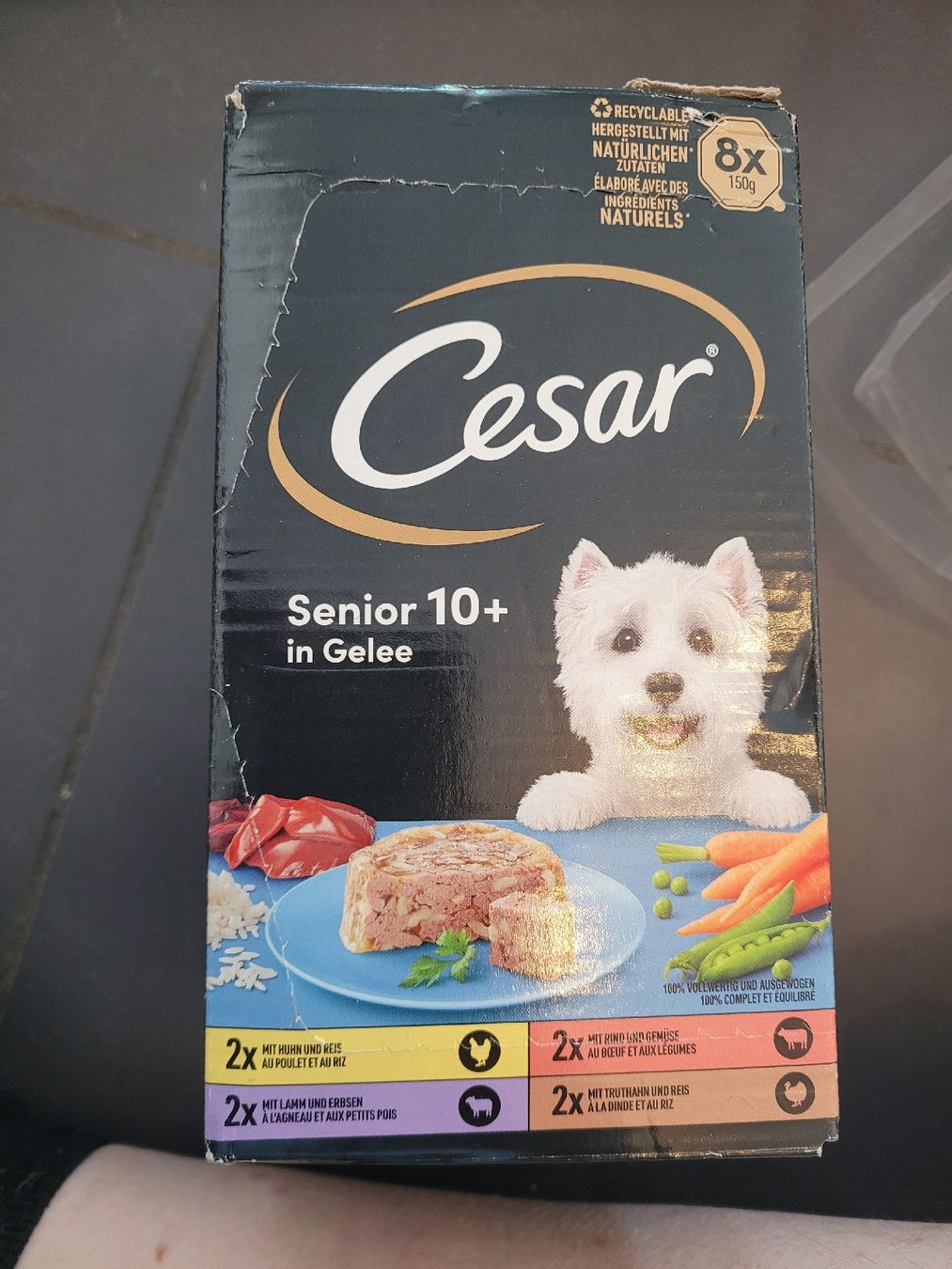 Mangimi: Cesar Senior 10+ in Gelee – Nuovo e nell'imballaggio originale da Kappel SO venduto da Matschi86 1