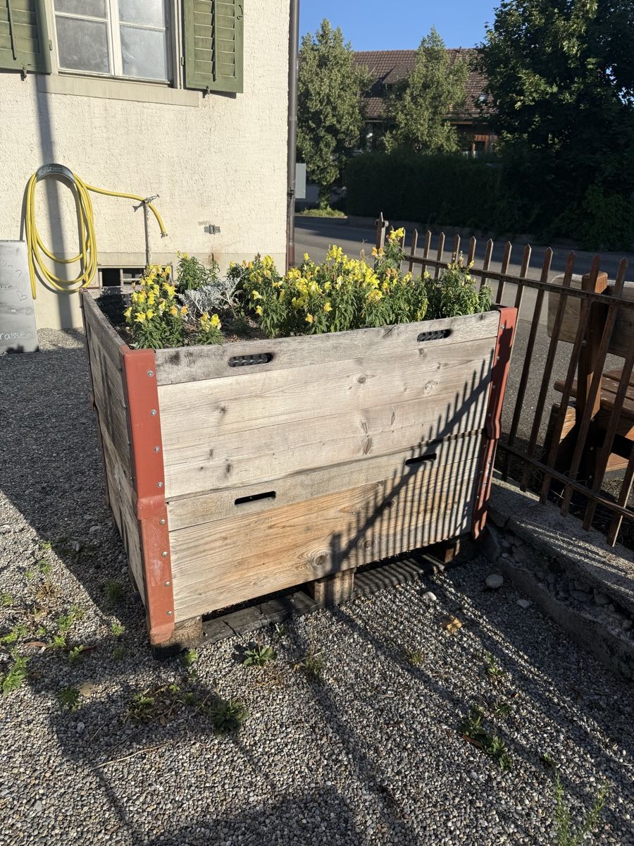 Blumentöpfe: Hochbeet - Palettenrahmen – Gebraucht aus Volketswil von Chiva01 1