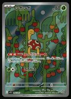 Shuckle #64 Pokemon Japanese Mega Symphonia M1S