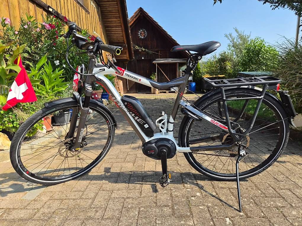 Biciclette: E Bike HAIBIKE 45er – Usato da Aarwangen venduto da Berner3027