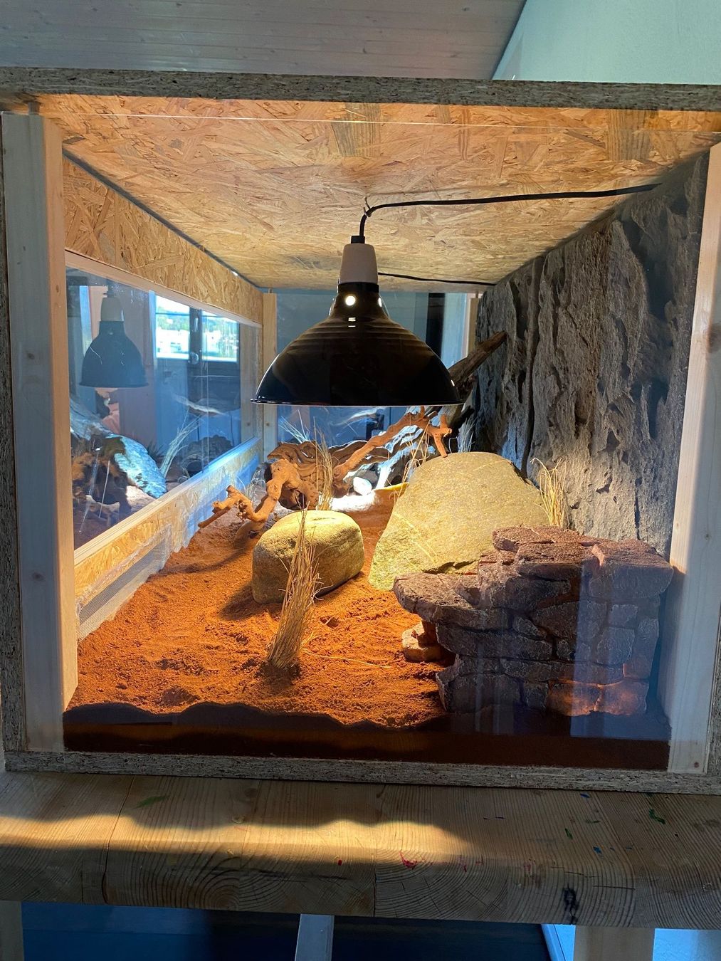 Terrariums: Wüstenterrarium mit Einrichtung – Neuf (Voir description) à Bülach par jon_c57r 1