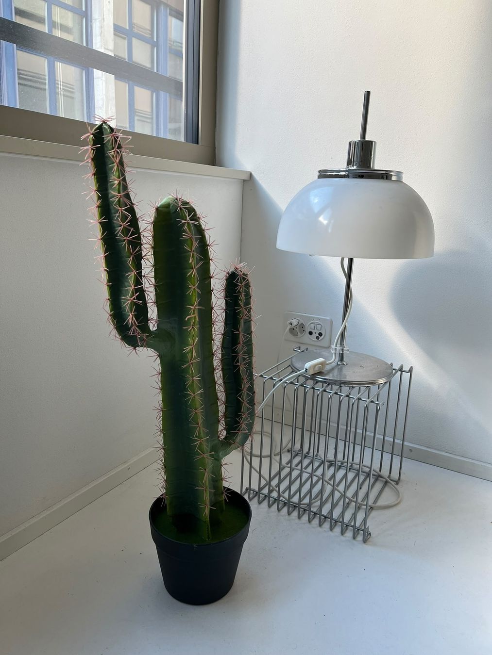 Piante & sementi: Künstlicher Kaktus 78cm – Usato da Zürich venduto da timurstudios