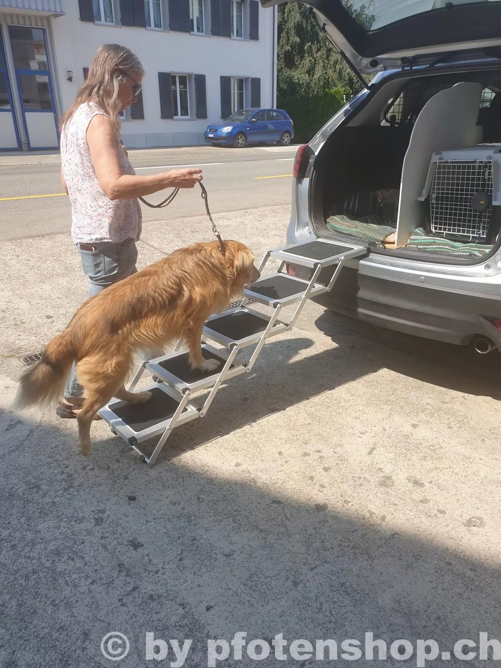 Scale: Hundetreppe 4 Tritte, Einstiegstreppe – Usato da Bischofszell venduto da 4pfoetli 2
