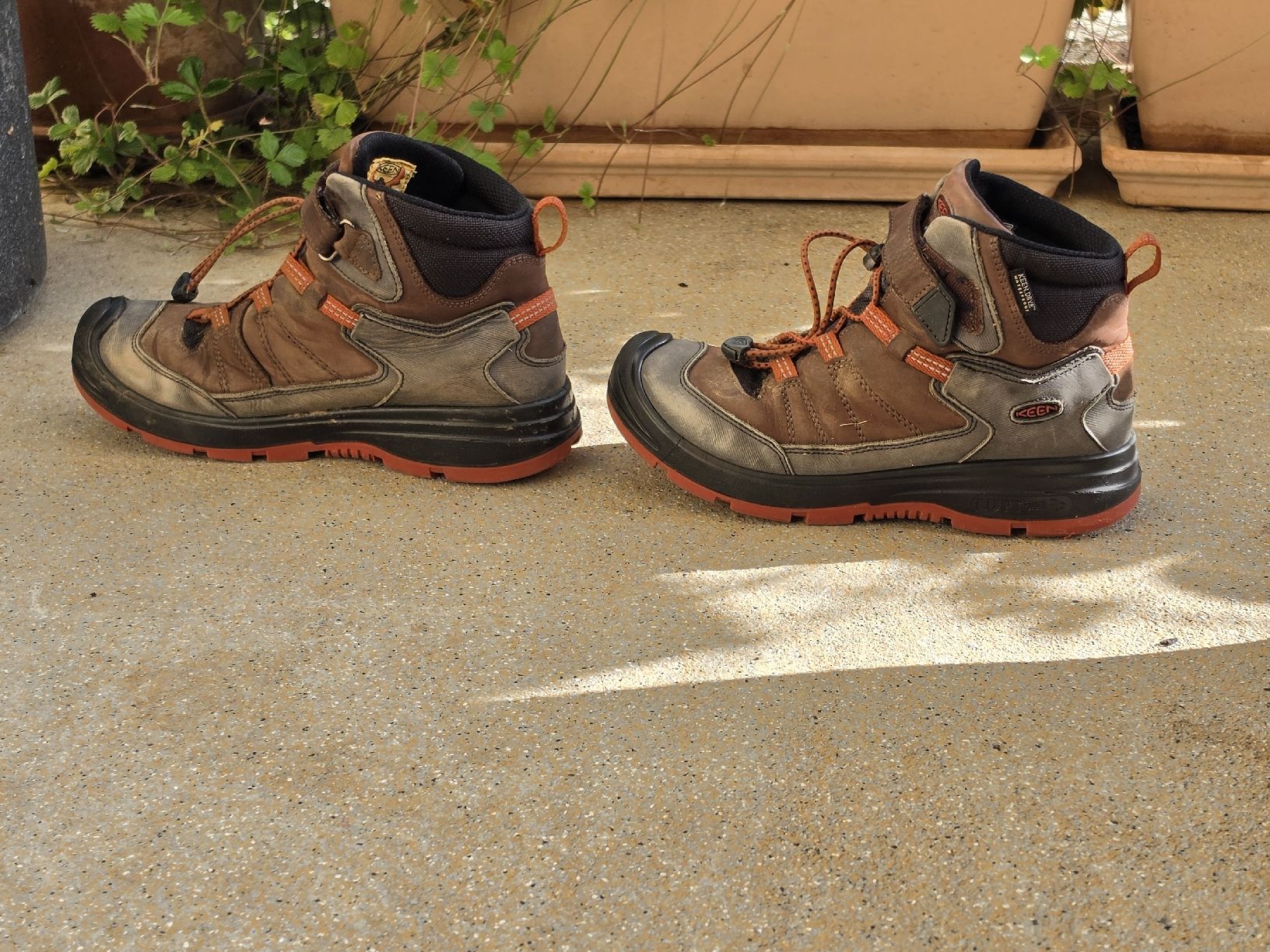 Keen Scarpe per ragazzi: Keen Schuhe Kinder Gr. 38  – Usato da Birmensdorf ZH venduto da eva_9hvs 1