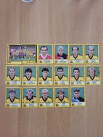 panini football 87 young boys
