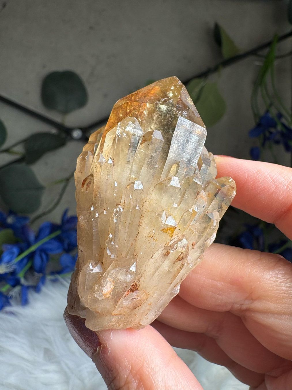 Minerali & Pietre curative: Kundalini Citrin Cluster mit Phantom – Nuovo (secondo la descrizione) da Neuheim venduto da m.hald