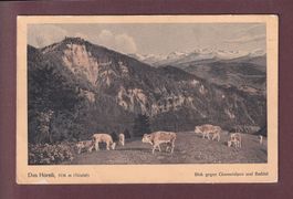 Tösstal - DAS HÖRNLI - Kühe - Bachtel - 1921