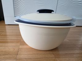 Tupperware  Thermo Duo Behälter