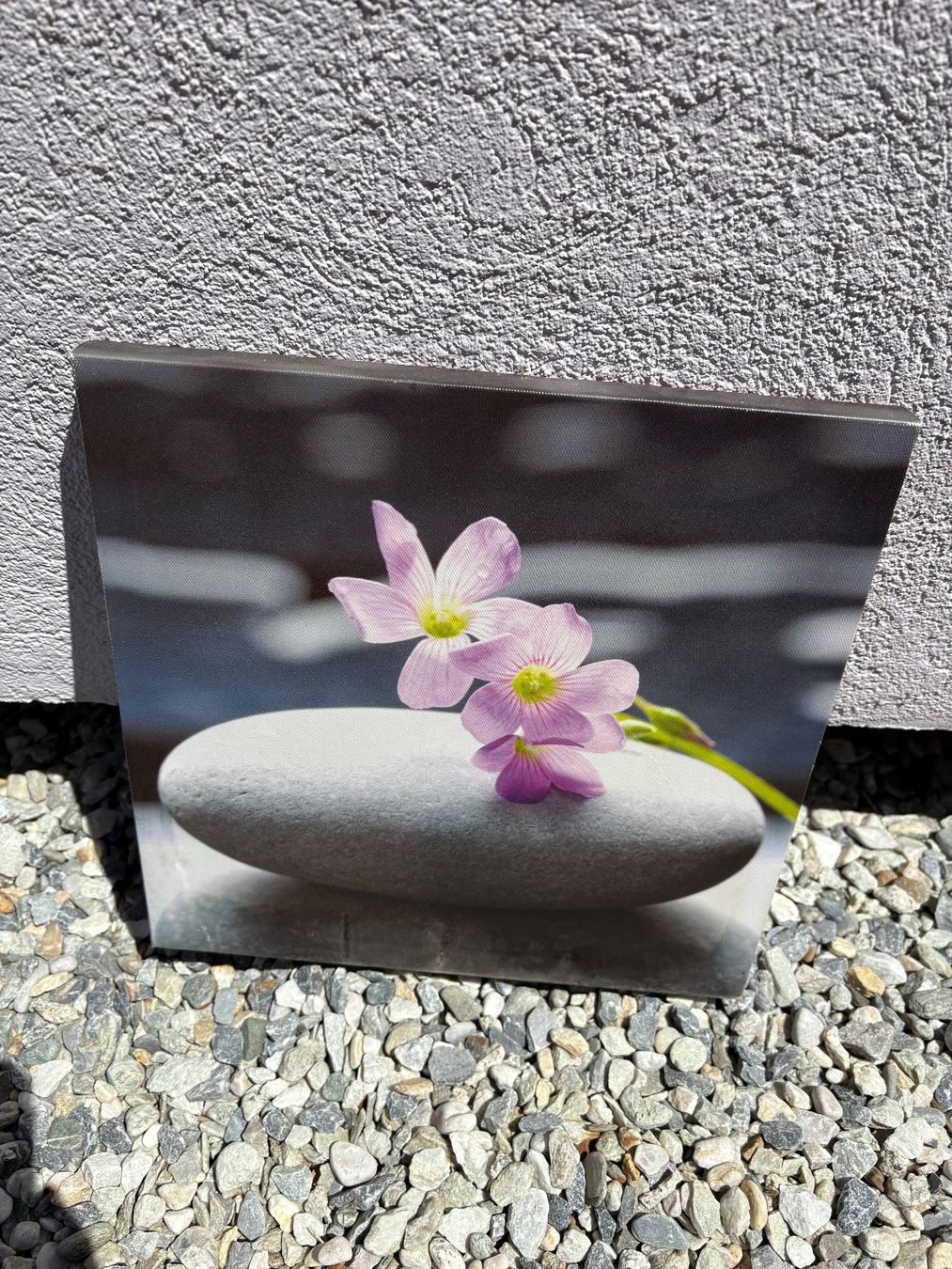 Gemälde: Tableau avec image orchidée – Gebraucht aus Grône von natatou
