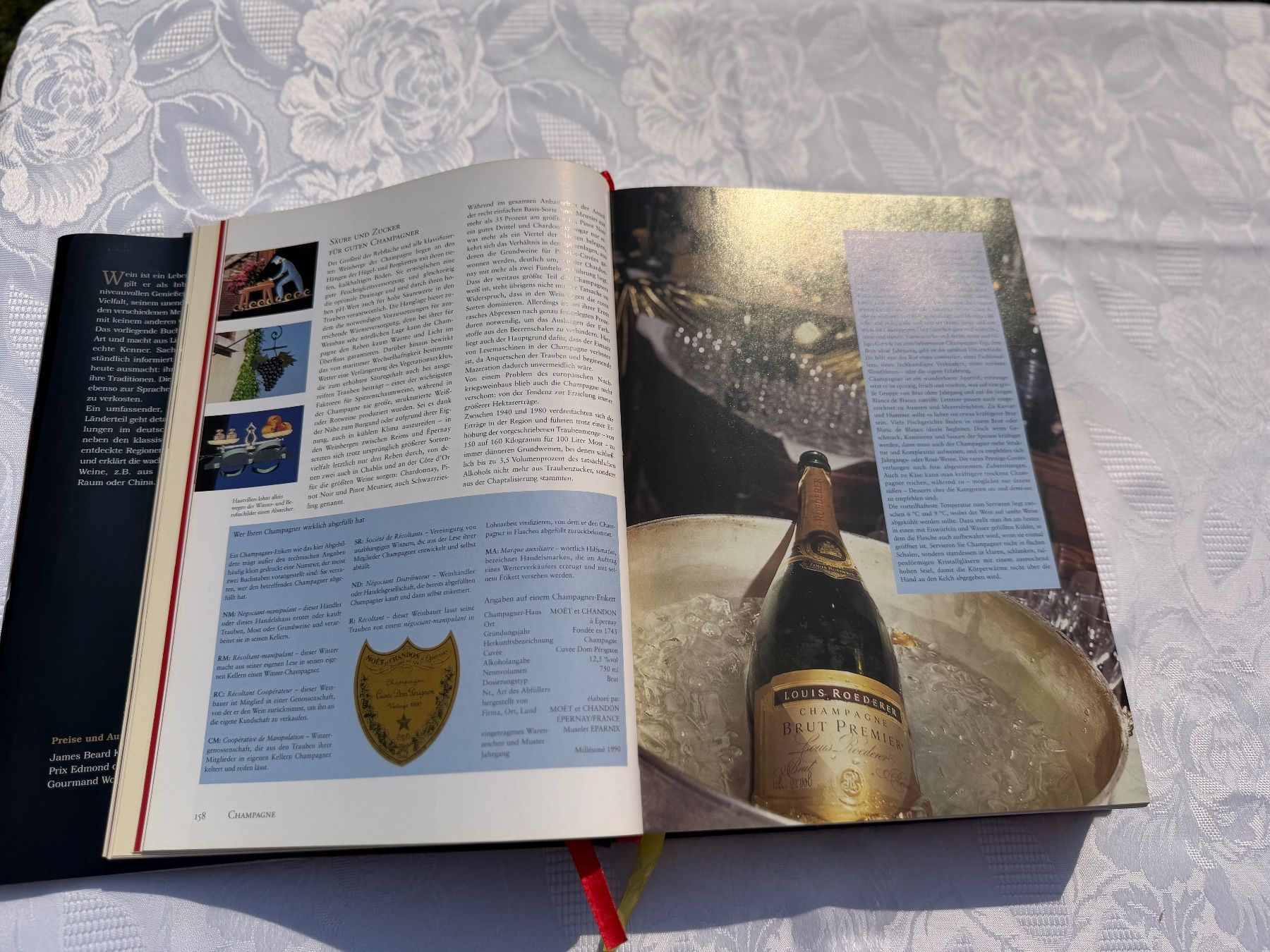 Livres: Grosse Buch "Wein" top zustand – D'occasion à Cugnasco par tizianaq 2