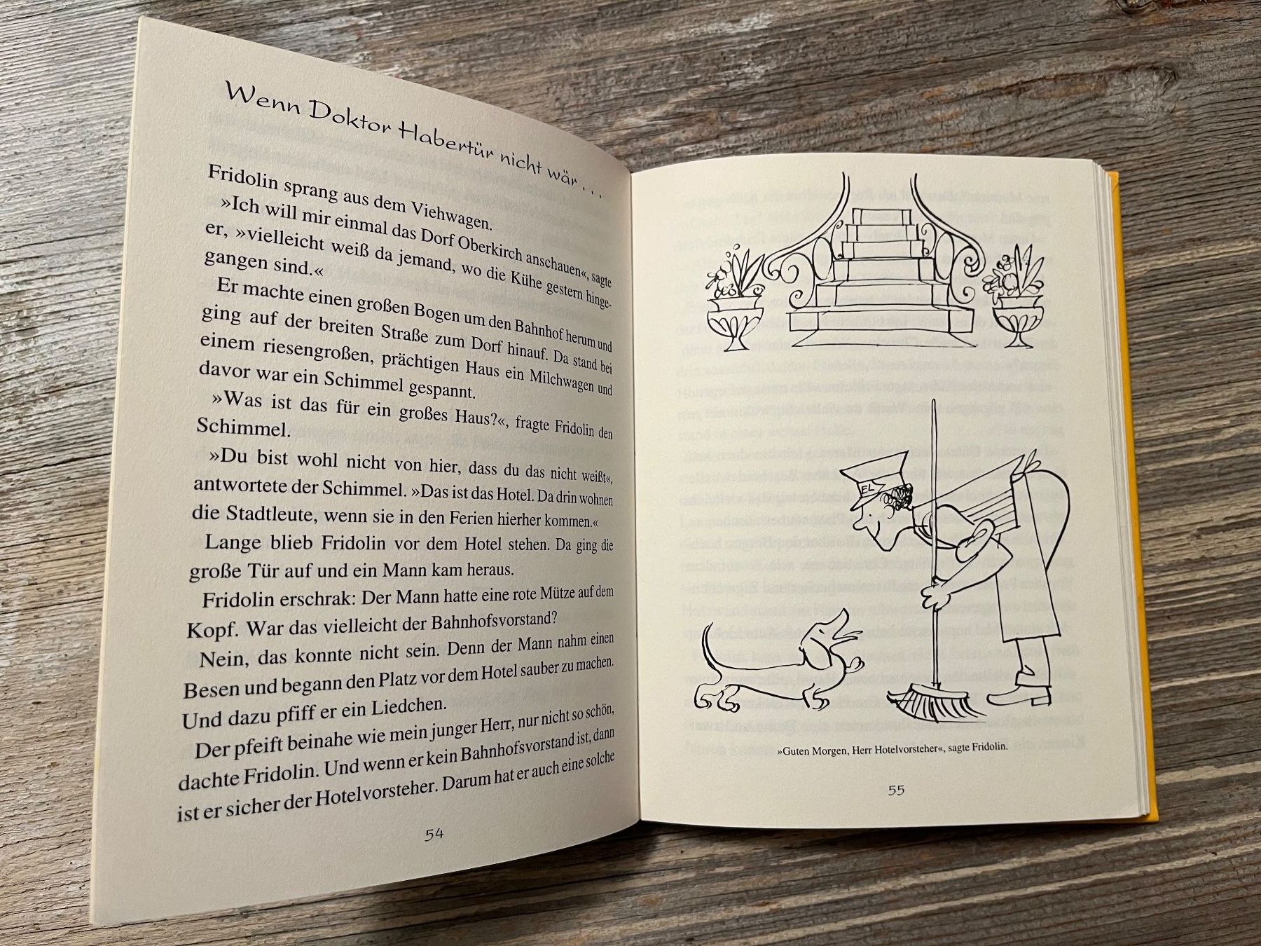 Libri: Kinderbuchklassiker:  Fridolin Eine lustige Geschichte – Usato da Pfäffikon ZH venduto da buresi 6