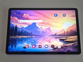 Samsung Galaxy Tab S9FE mit Zubehör + Garantie!