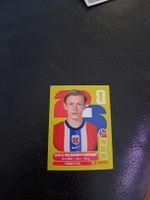 Panini coupe du monde NOR 6
