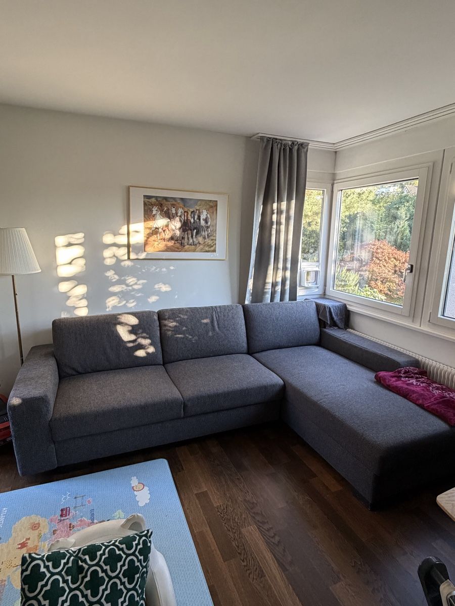 Sofas: Sofa/canapé – Gebraucht aus Oberwil b. Zug von max_jq22 1