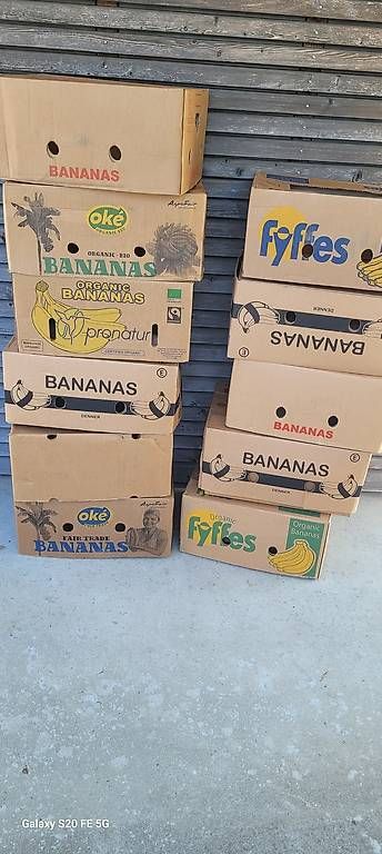 Cartons: Banana Kisten,  Umzug box – D'occasion à bellmund par aapeli