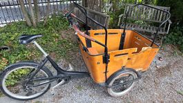 Cargobike, Lastenrad - EgoMovement - günstig,reparatur nötig