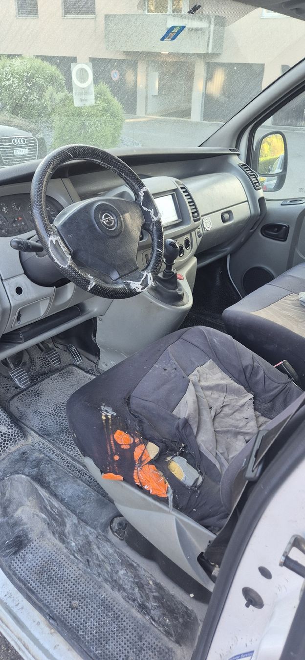 Opel Veicoli commerciali: opel vivaro – Usato da Oftringen venduto da tod_m6cr 3