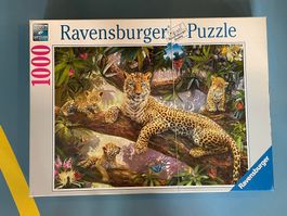 puzzle leopard avec son  petit