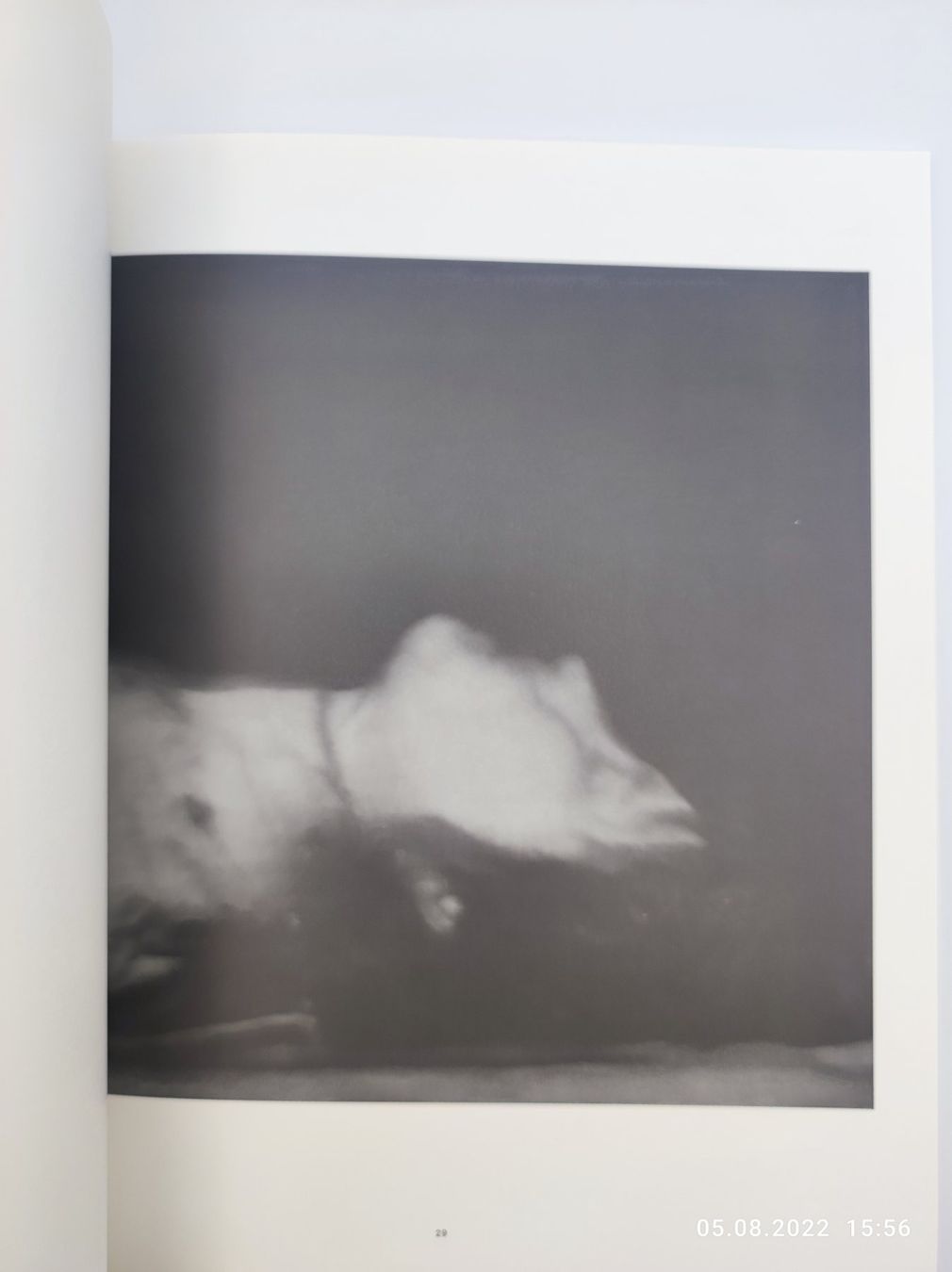 Libri: GERHARD RICHTER - AUSSTELLUNGSKATALOG 1977 – Usato da Goldach venduto da Gaip 2