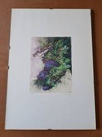 Vendesi litografia 