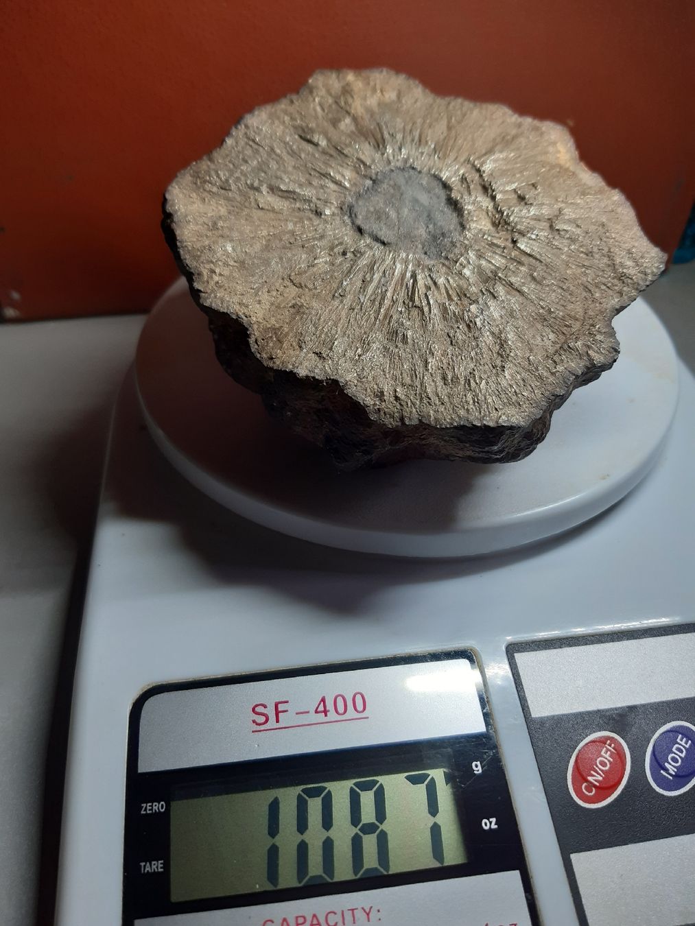 Minerali & Pietre curative: MARCASSITE en nodule 1087gr. – Usato da Genève venduto da dieudedieu 4