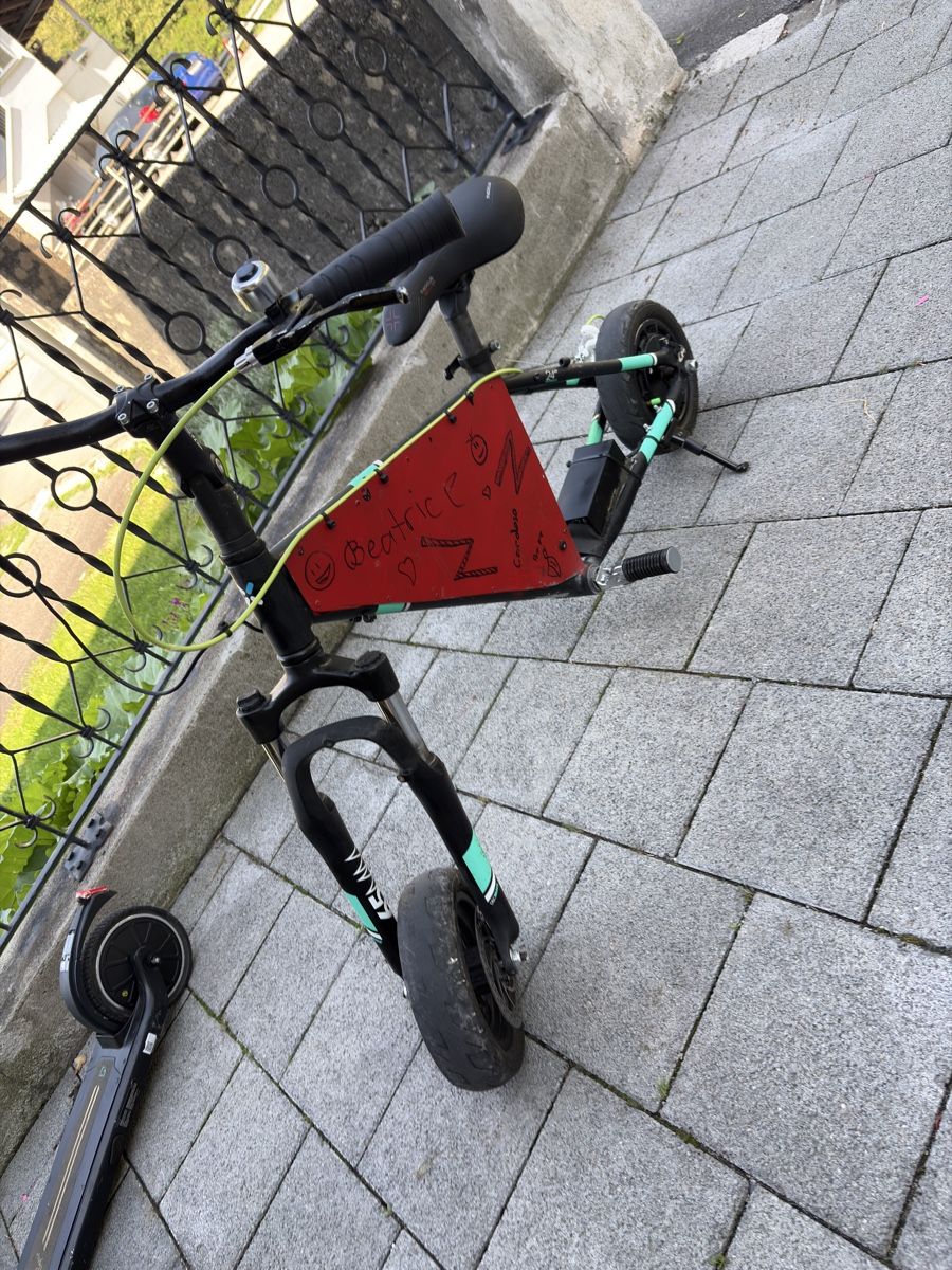 Mini Bike: Monopattino elettrico personalizzato con sedile e display – Usato da Bürglen UR venduto da Cardosoluis 1